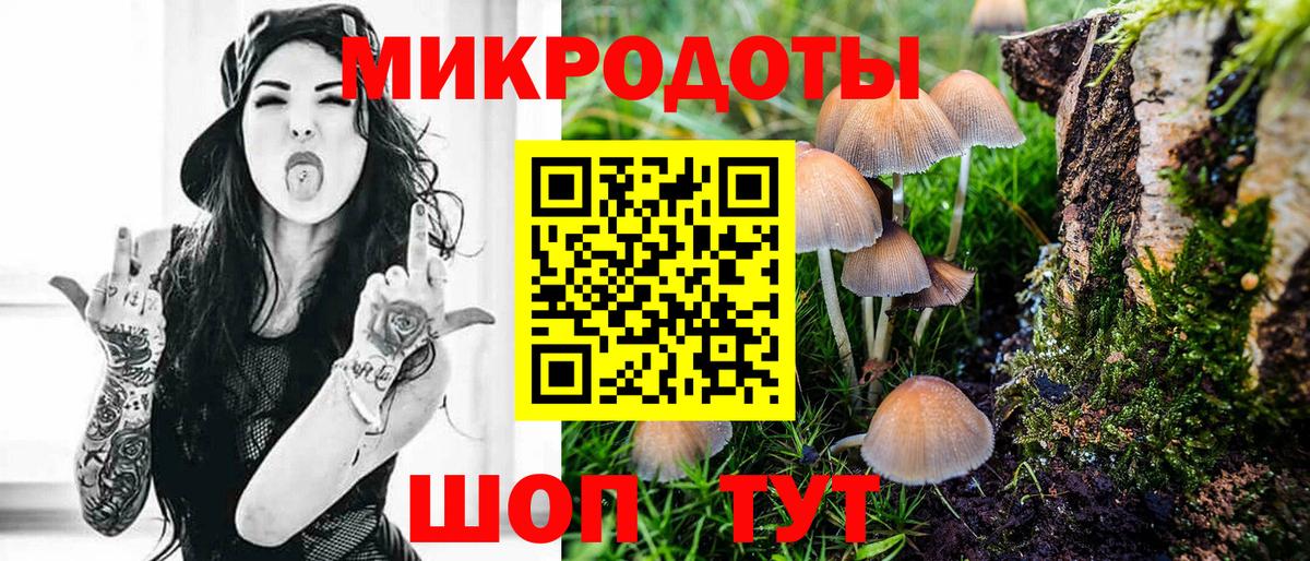 Свободный  Псилоцибиновые грибы мухоморы  Вход с VPN 