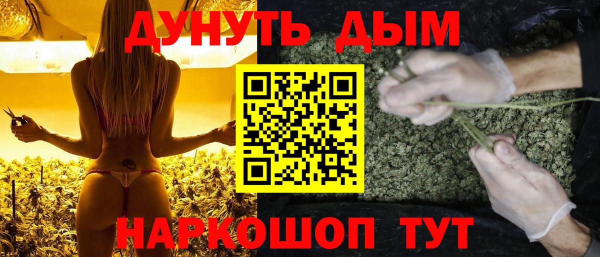 МАРИХУАНА сатива  Вход с VPN  Канабис планчик  Свободный  Каннабис MAZAR 